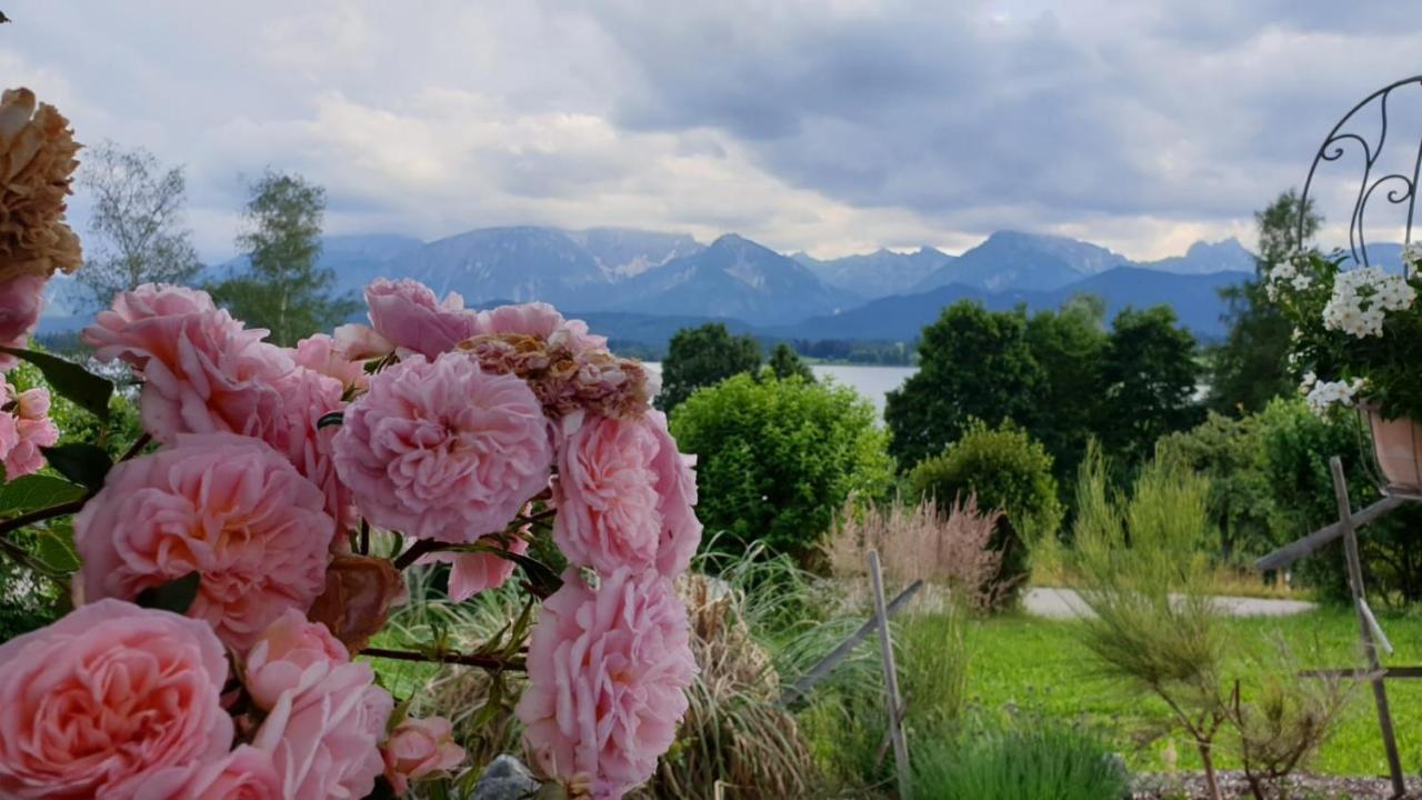 Landhaus Amberg Hopfen Am See // Hopfensee // Fuessen Ngoại thất bức ảnh