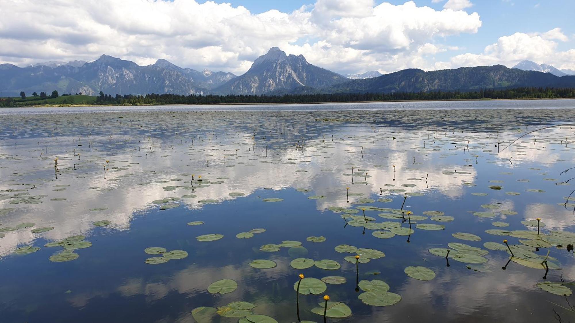 Landhaus Amberg Hopfen Am See // Hopfensee // Fuessen Ngoại thất bức ảnh